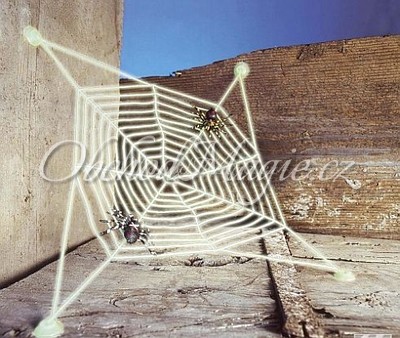 Čarodějnické dekorace-Pavučina se 2 pavouky - 27x27cm