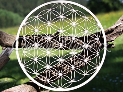 Nástěnné dekorace-Květ života nástěnná dekorace s krystaly Swarovski 24,5cm